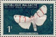 Moth (Chionaema pauliani); red omitted