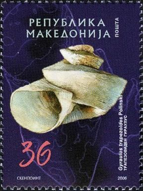 Freshwater Snail (Gyraulus trapezoides)