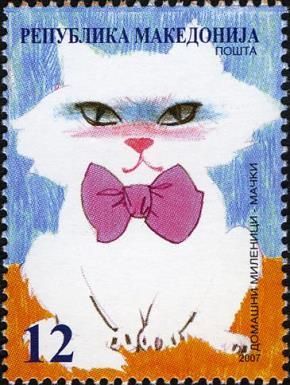 Cats