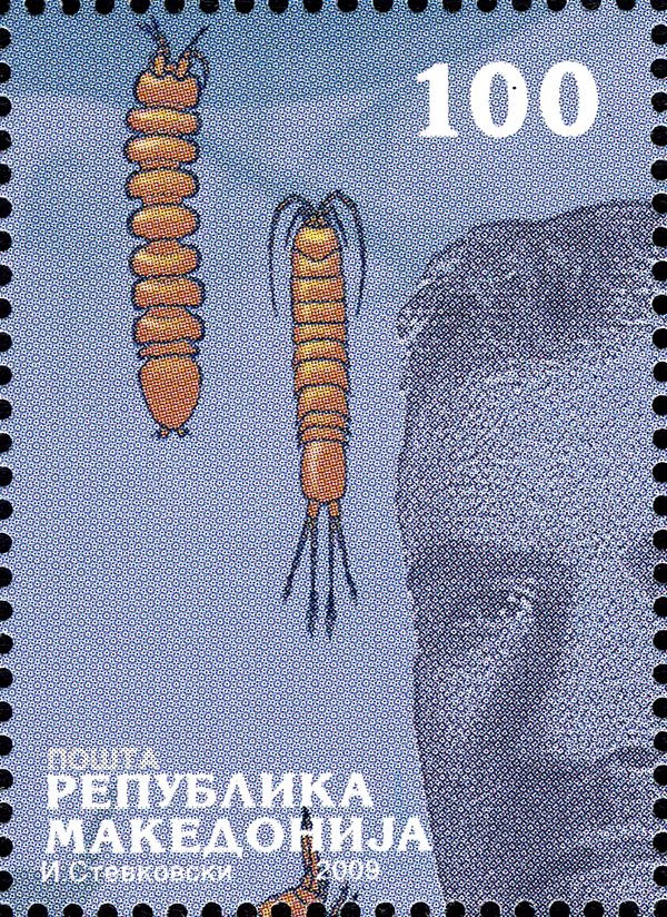 Dr. Stanko Karaman