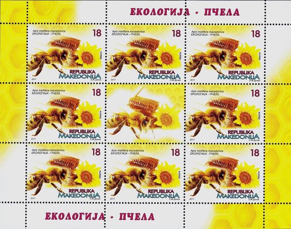 Macedonian Honey Bee (Apis mellifera macedonica)