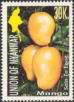 Mango (Mangifera indica)