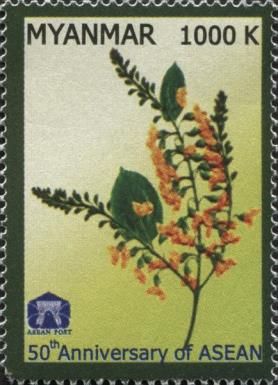 50th Anniversary of ASEAN - Pterocarpus macrocarpus