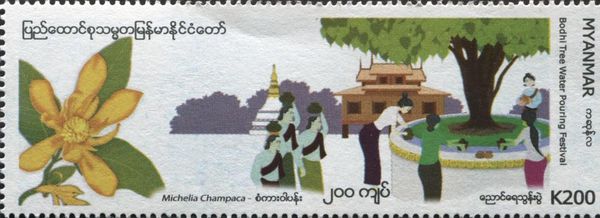 The Month of Kasone : Bodhu Tree Festival