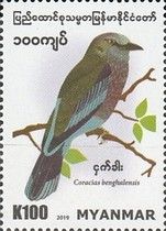 Indian Roller (Coracias benghalensis)