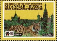 International Tiger Forum, Vladivostok, Russia
