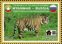 International Tiger Forum, Vladivostok, Russia