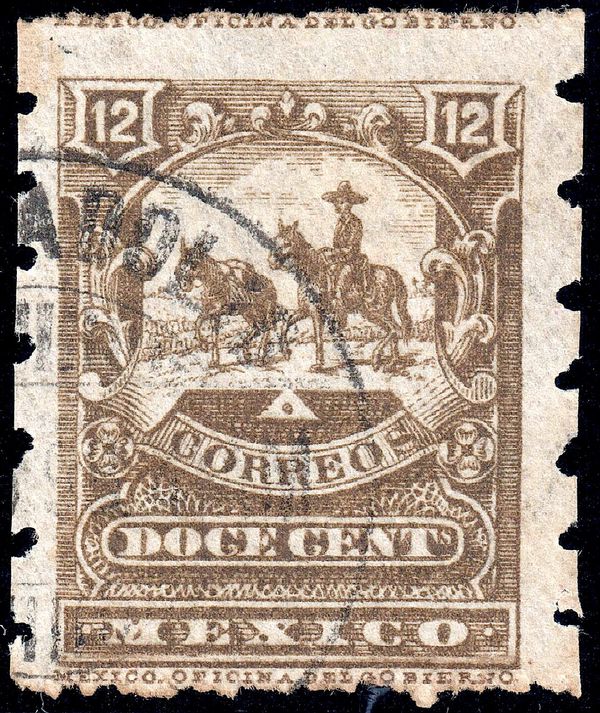 Carrier On Mule (mulitas)