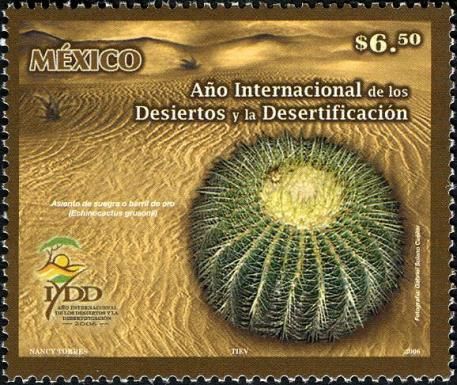 International Year of Deserts and Desertification