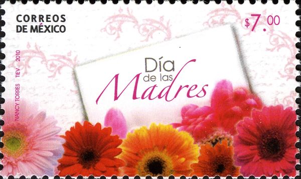 Gerberas