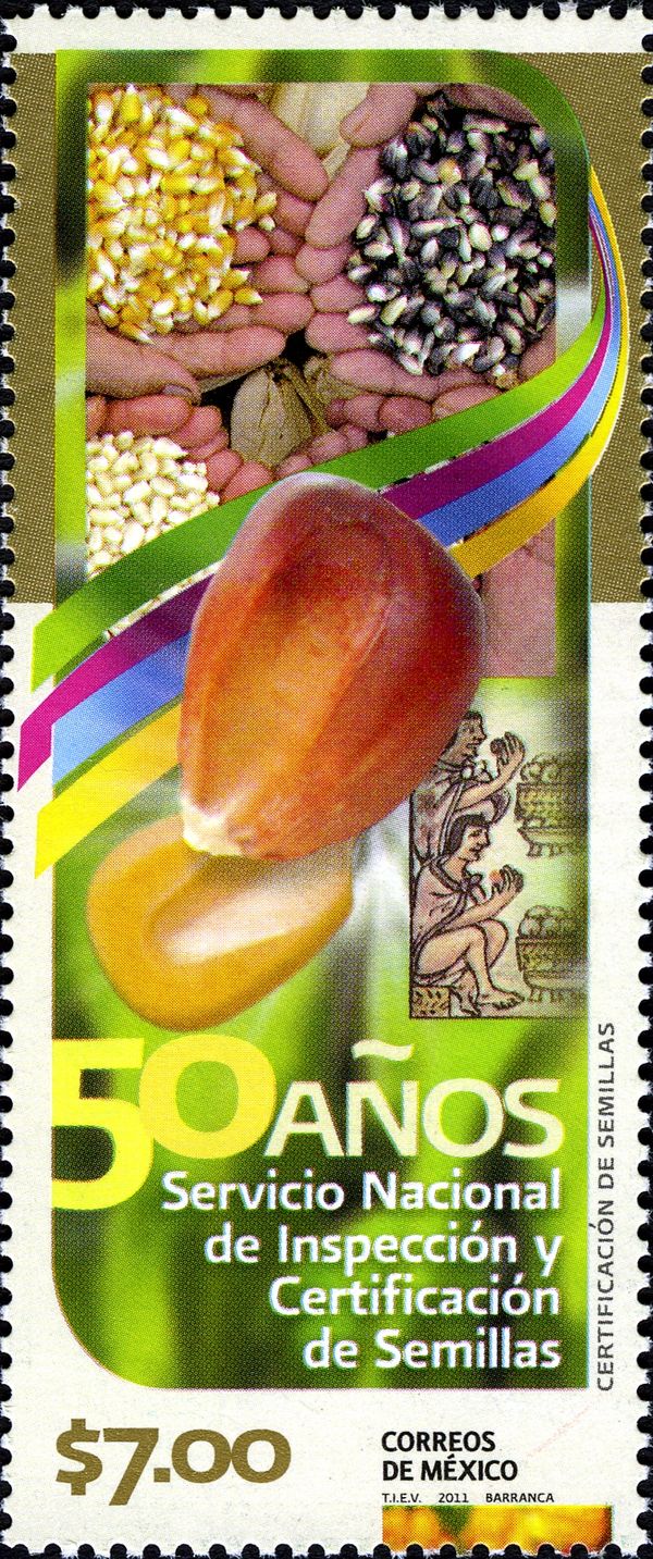Certification of Seeds