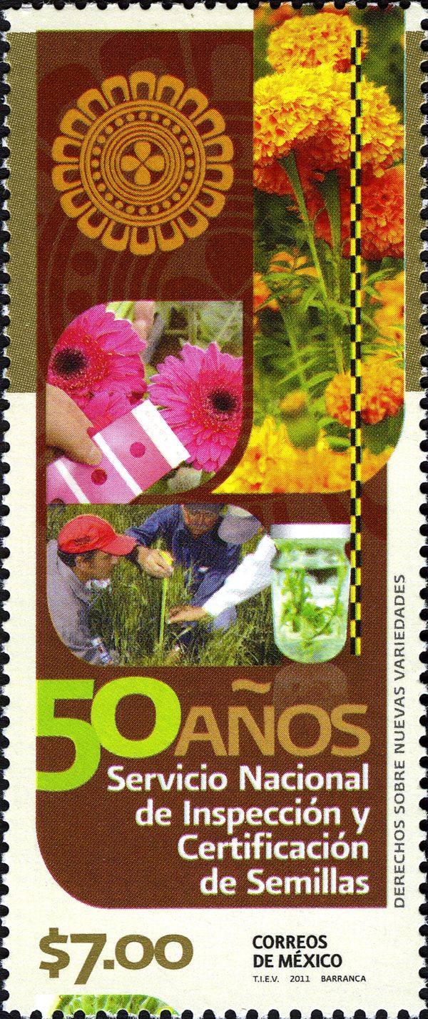 Rights about New Varieties