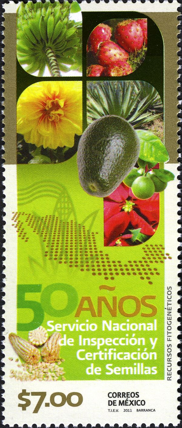 Plant genetic resources