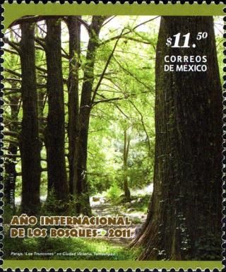International Year Of Forests, 2011