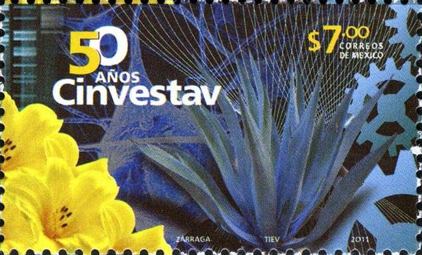 Anniversary 50 Cinvestav