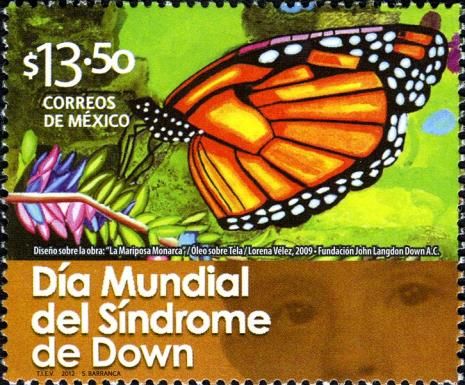 Monarch Butterfly (Danaus plexippus)