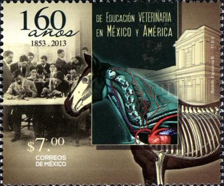 160 Years of Veterinary Education in Mexico and America