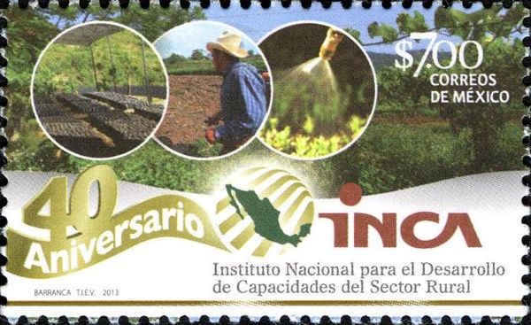 40th Anniversary of the National Institute for the Developme