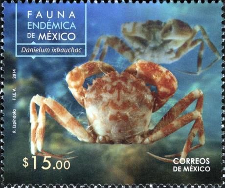 Crab (Danielum ixbauchac)