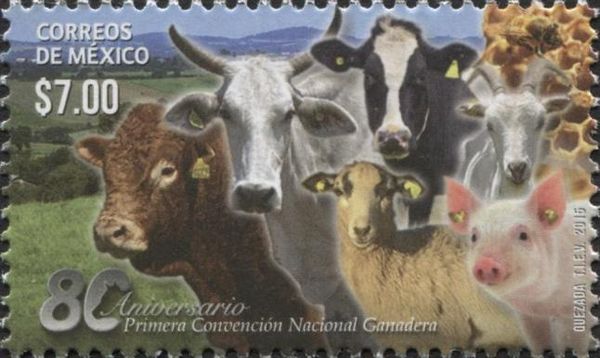 Farm Animals - Cattle, Sheep, Pig, Goat