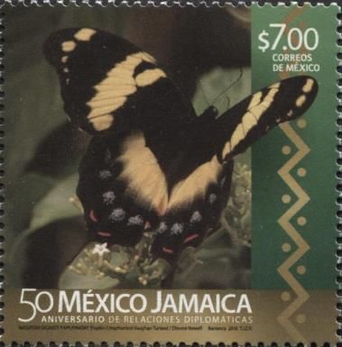 Papilio cresphontes