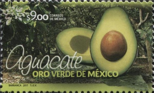 Avocados - The Green Gold of Mexico