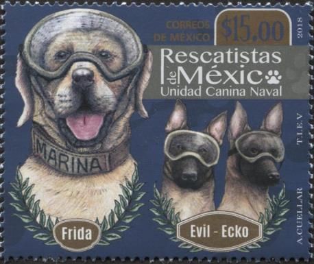 Tribute to Earthquake Search & Rescue Dogs