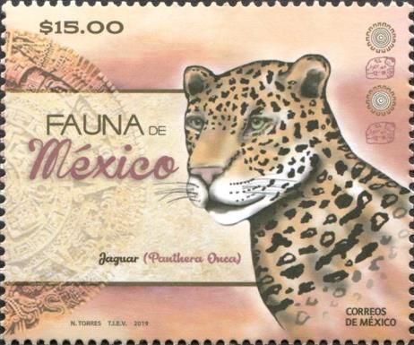 Jaguar (Panthera onca)