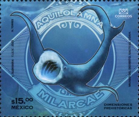 Aquilolamna