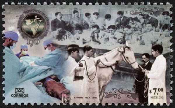 Veterinary Education in Mexico, 170 Years