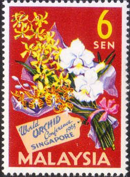 Bouquet of Orchids