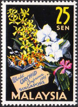 Bouquet of Orchids