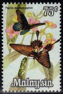 Great Mormon (Papilio memnon)
