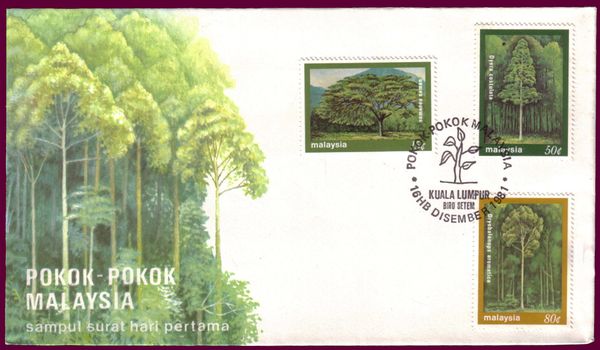 Malay Camphor (Dryobalanops aromatica)