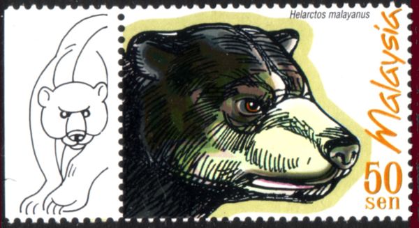 Sun Bear (Helarctos malayanus)