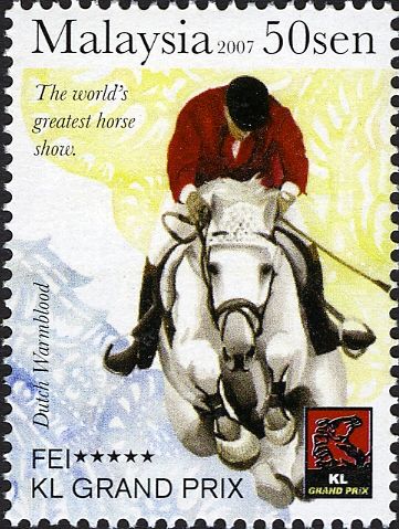 Dutch warmblood