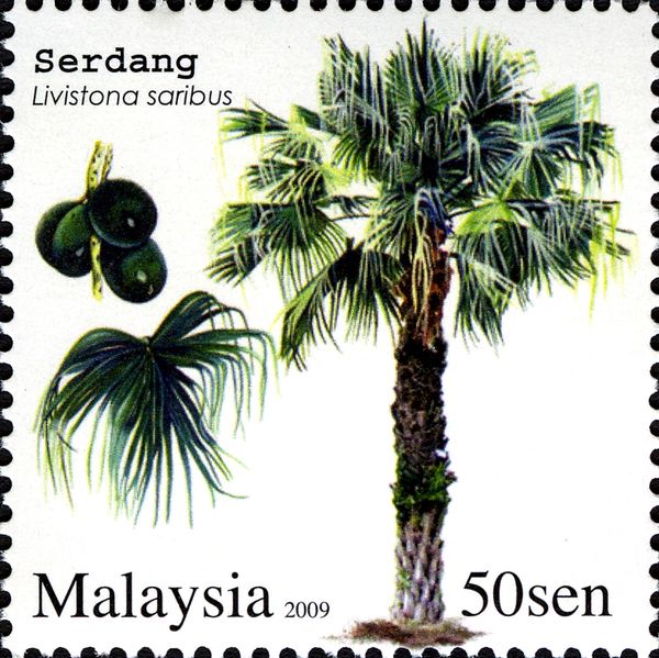 Serdang