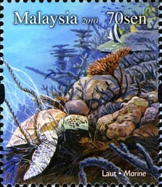 Green Sea Turtle (Chelonia mydas) - Marine