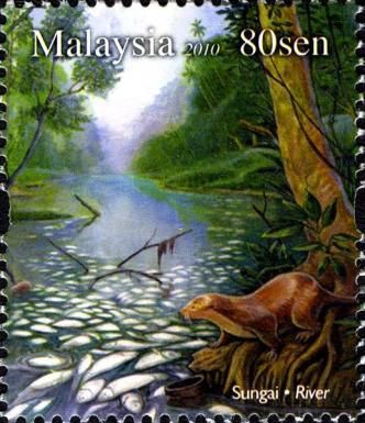 Hairy-nosed Otter (Lutra sumatrana), Fish - Rivers