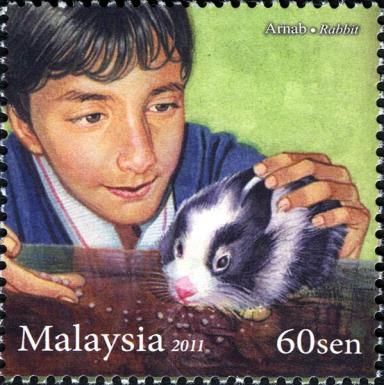Domestic Rabbit (Oryctolagus cuniculus domesticus)