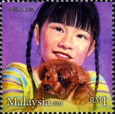 Dog (Canis lupus familiaris)
