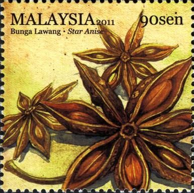 Star Anise