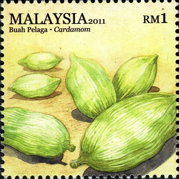 Cardamom