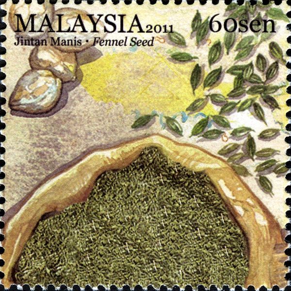 Fennel Seed