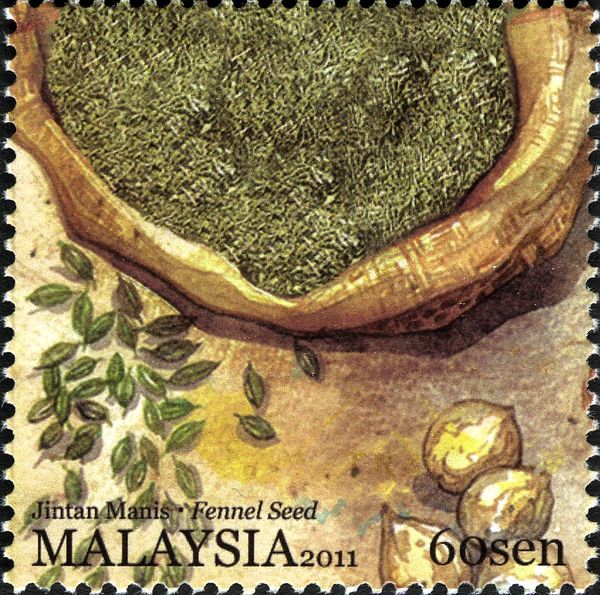 Fennel Seed