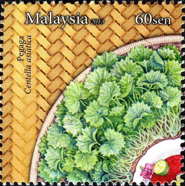 Malaysian Salad