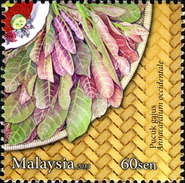 Malaysian Salad