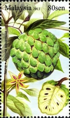 Sugar apple