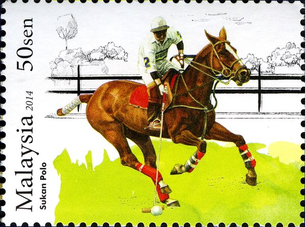 Horse polo