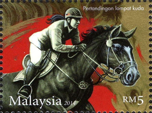 Horses - Show Jumping